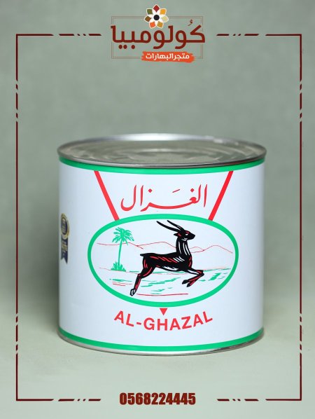 سمنة الغزال كبير